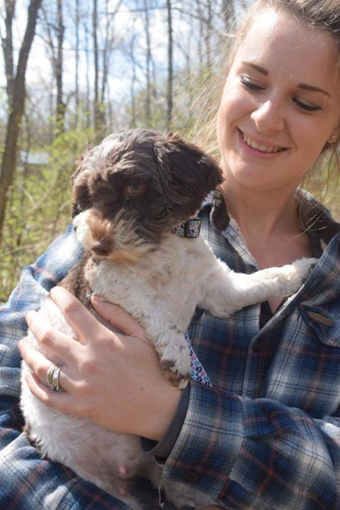 Poovanese breeder in Missouri